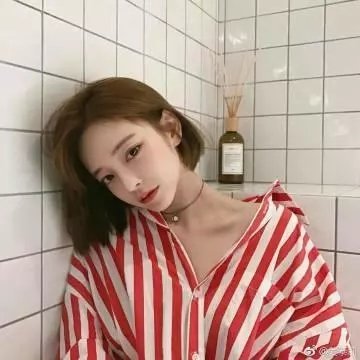 容易受伤的玫瑰
